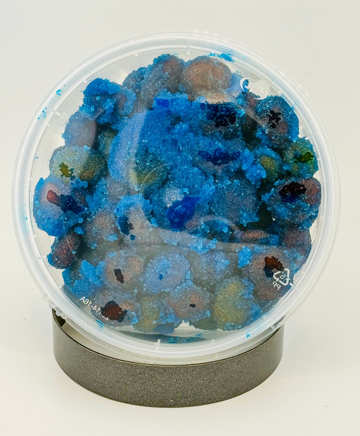 Blue Raspberry Gushers- 8oz ๐